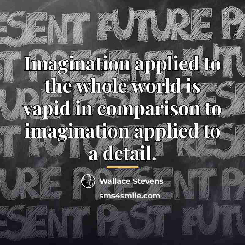 “Imagination applied to the whole world is vapid in comparison…” quote by Wallace Stevens