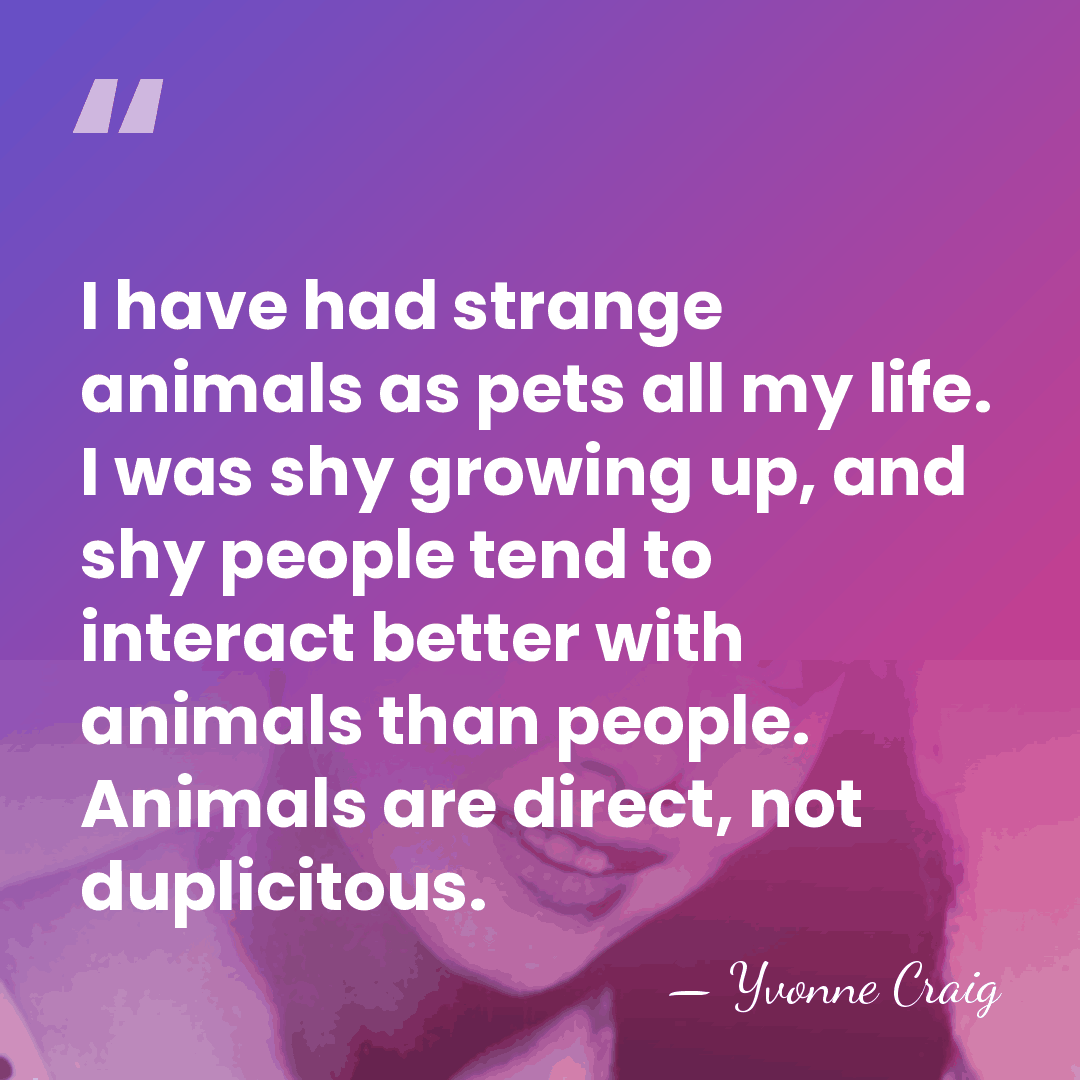 I have had strange animals as pets all my life. I was&hellip; - Yvonne Craig