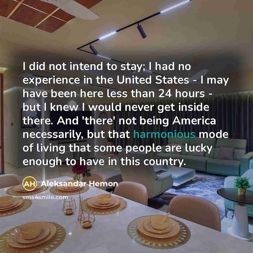 “I did not intend to stay; I had no experience…” quote by Aleksandar Hemon