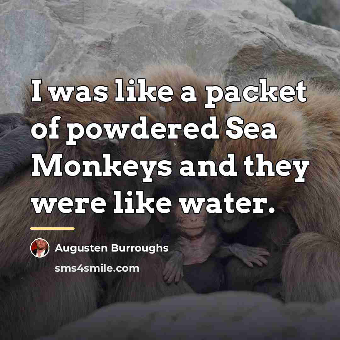 “I was like a packet of powdered Sea Monkeys and…” quote by Augusten Burroughs