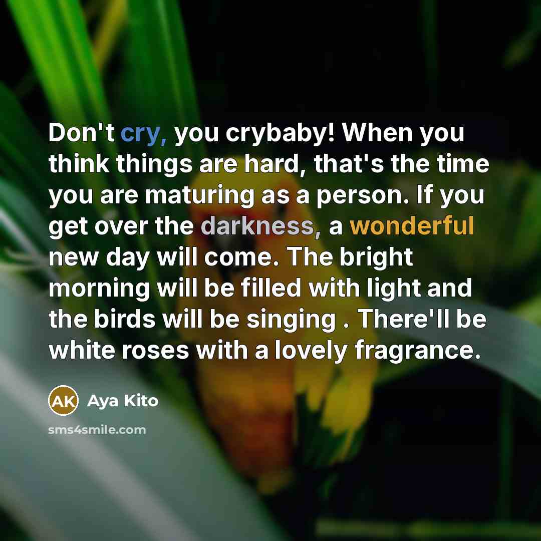 “Don't cry, you crybaby! When you think things are hard,…” quote by Aya Kito