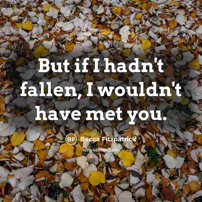 “But if I hadn't fallen, I wouldn't have met you.…” quote by Becca Fitzpatrick
