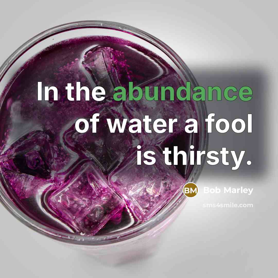 “In the abundance of water a fool is thirsty.…” quote by Bob Marley