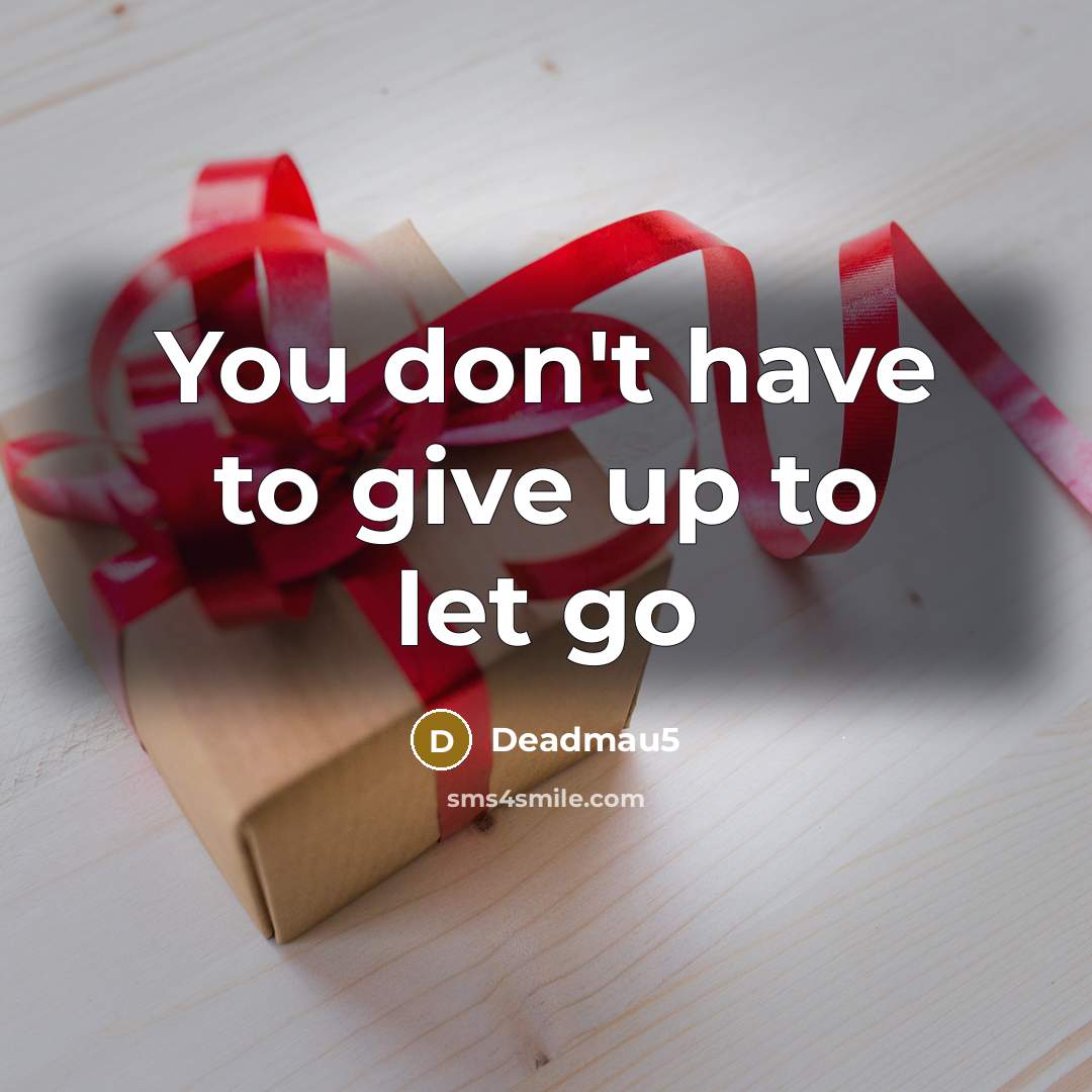 “You don't have to give up to let go…” quote by Deadmau5