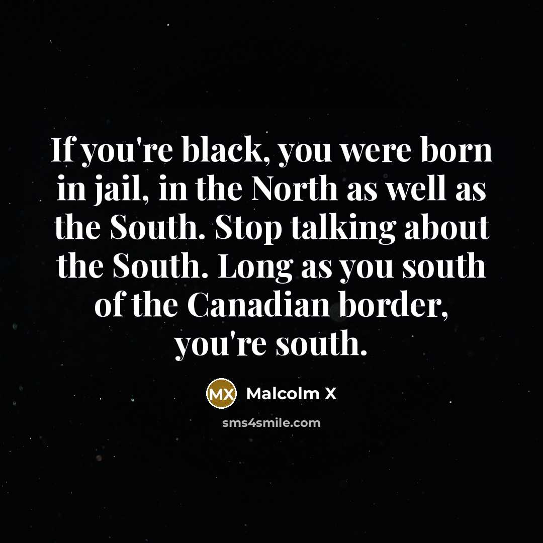 “If you're black, you were born in jail, in the…” quote by Malcolm X