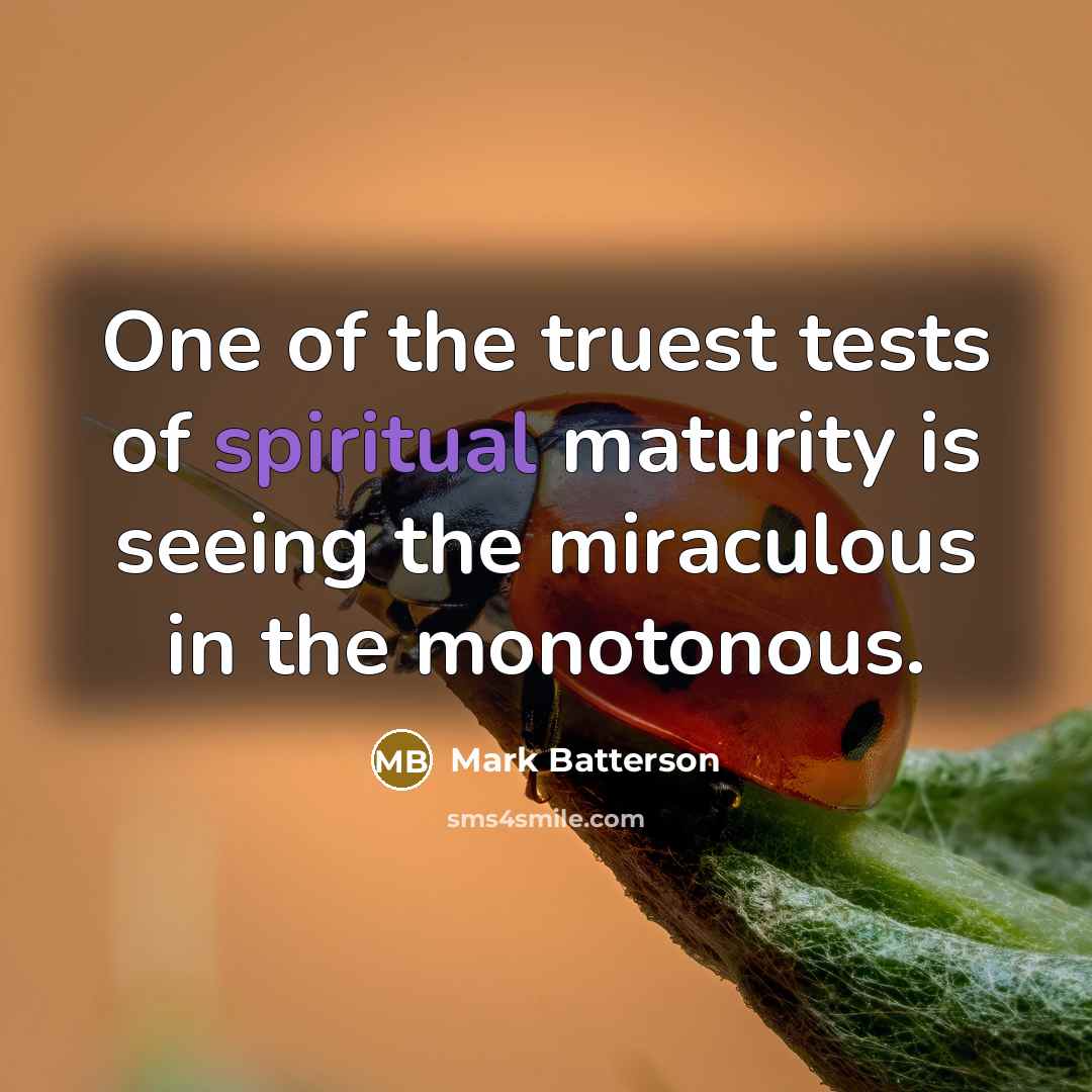 “One of the truest tests of spiritual maturity is seeing…” quote by Mark Batterson