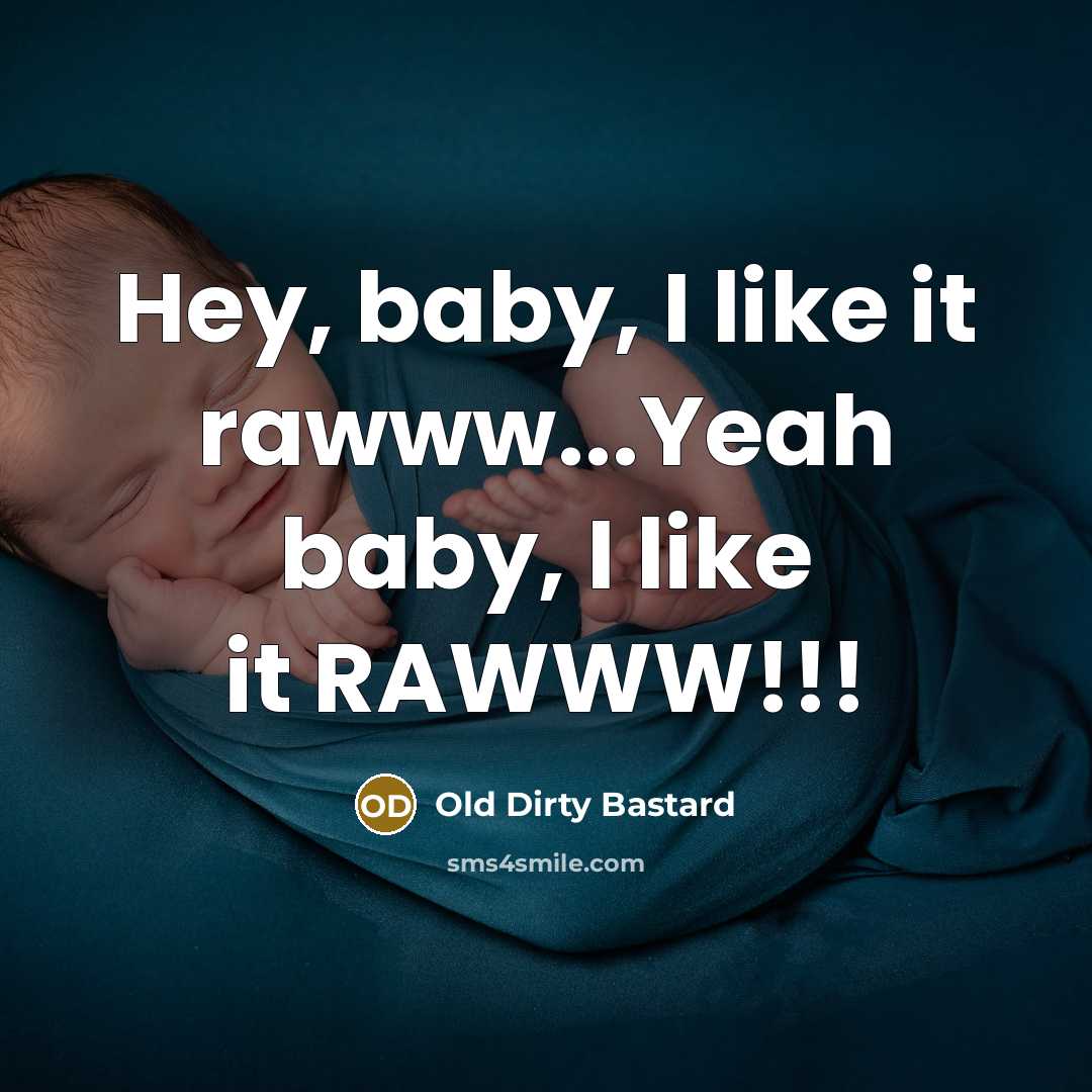“Hey, baby, I like it rawww...Yeah baby, I like it…” quote by Old Dirty Bastard
