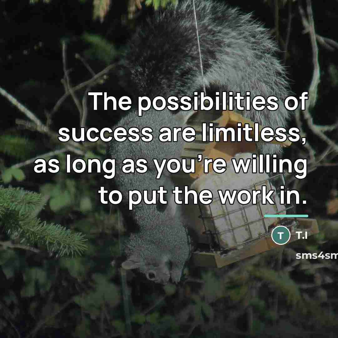 “The possibilities of success are limitless, as long as you're…” quote by T.I