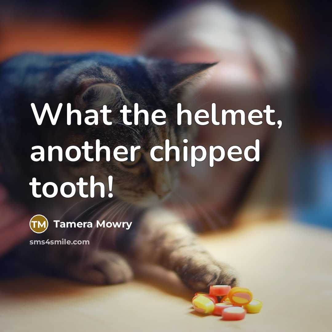 “What the helmet, another chipped tooth!” quote by Tamera Mowry