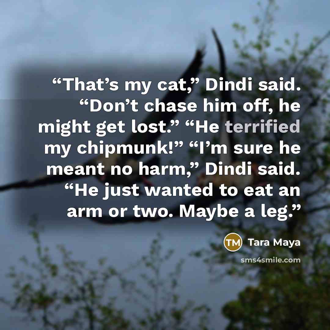 “That’s my cat,” Dindi said. “Don’t chase him off, he might get lost.” “He terrified my chipmunk!” “I’m sure he meant no harm,” Dindi said. “He just wanted to eat an arm or two. Maybe a leg.” quote by Tara Maya