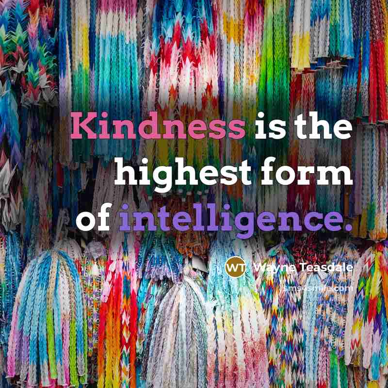 “Kindness is the highest form of intelligence.…” quote by Wayne Teasdale