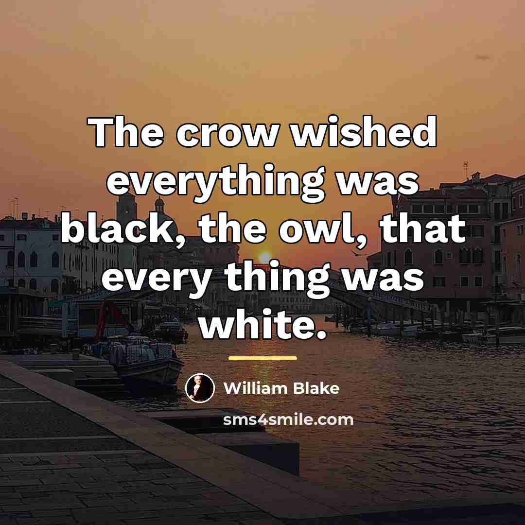 “The crow wished everything was black, the owl, that every…” quote by William Blake