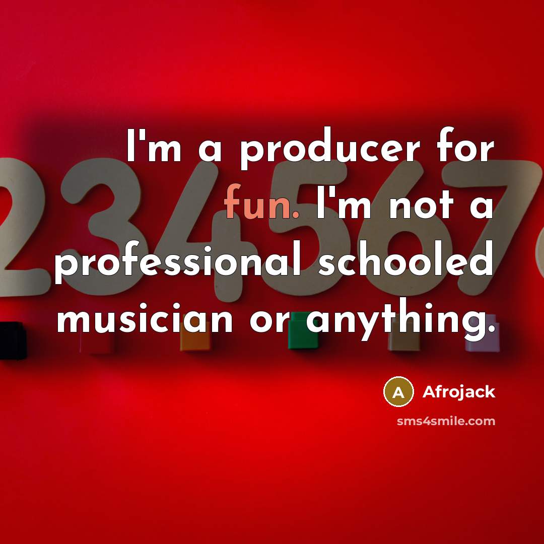 “I'm a producer for fun. I'm not a professional schooled…” quote by Afrojack