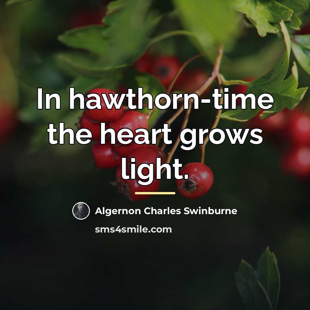 “In hawthorn-time the heart grows light.…” quote by Algernon Charles Swinburne