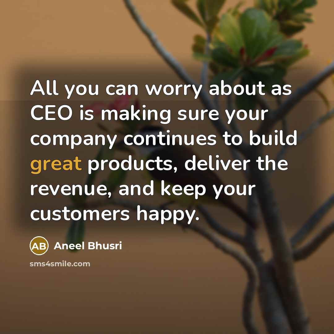 “All you can worry about as CEO is making sure…” quote by Aneel Bhusri