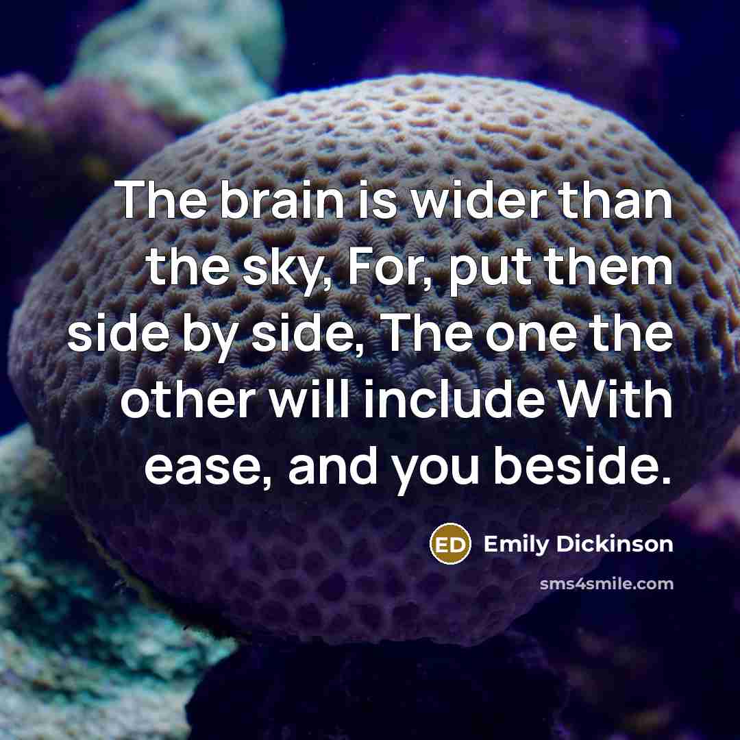 “The brain is wider than the sky, For, put them…” quote by Emily Dickinson