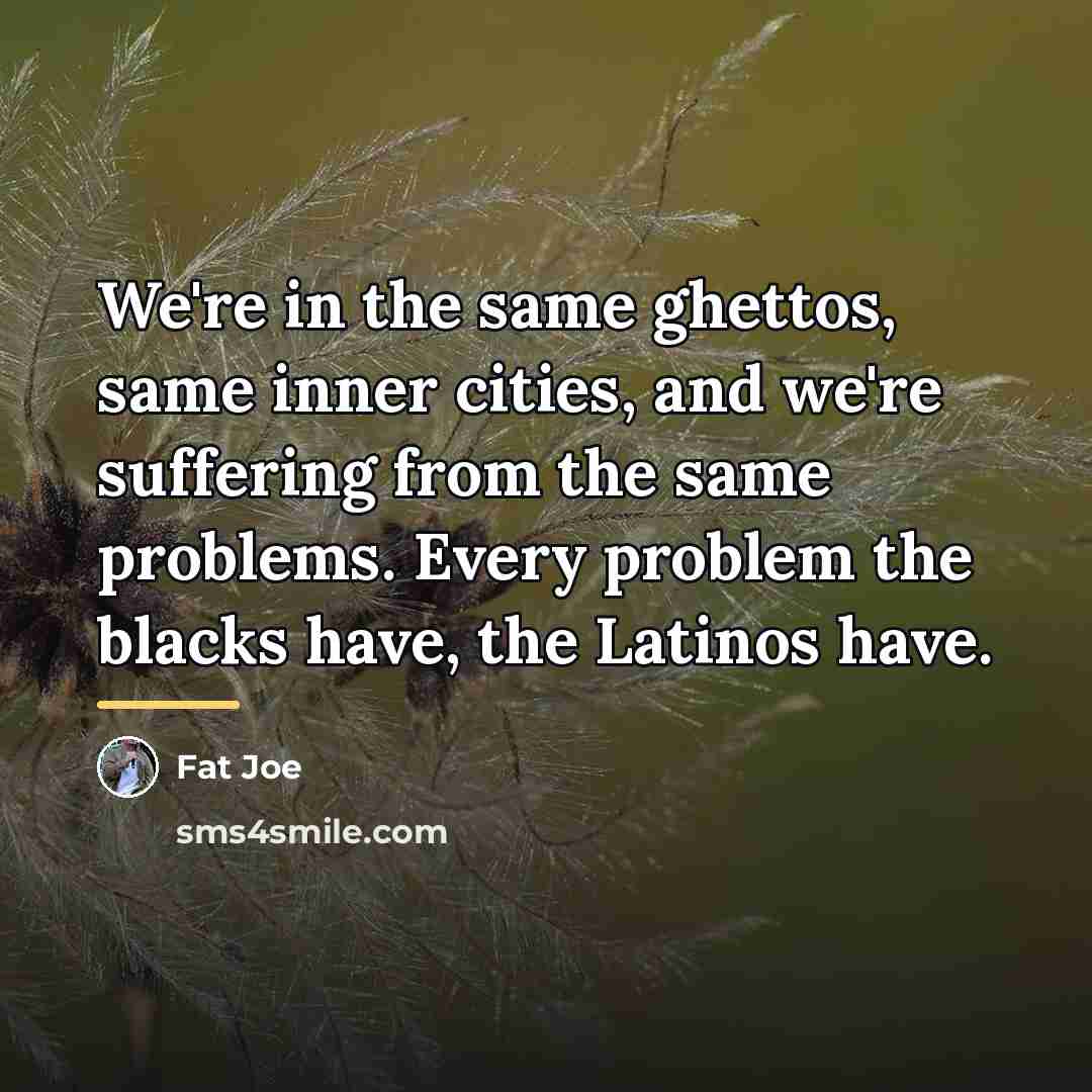 “We're in the same ghettos, same inner cities, and we're…” quote by Fat Joe
