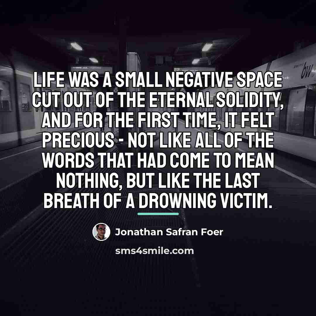 “Life was a small negative space cut out of the…” quote by Jonathan Safran Foer