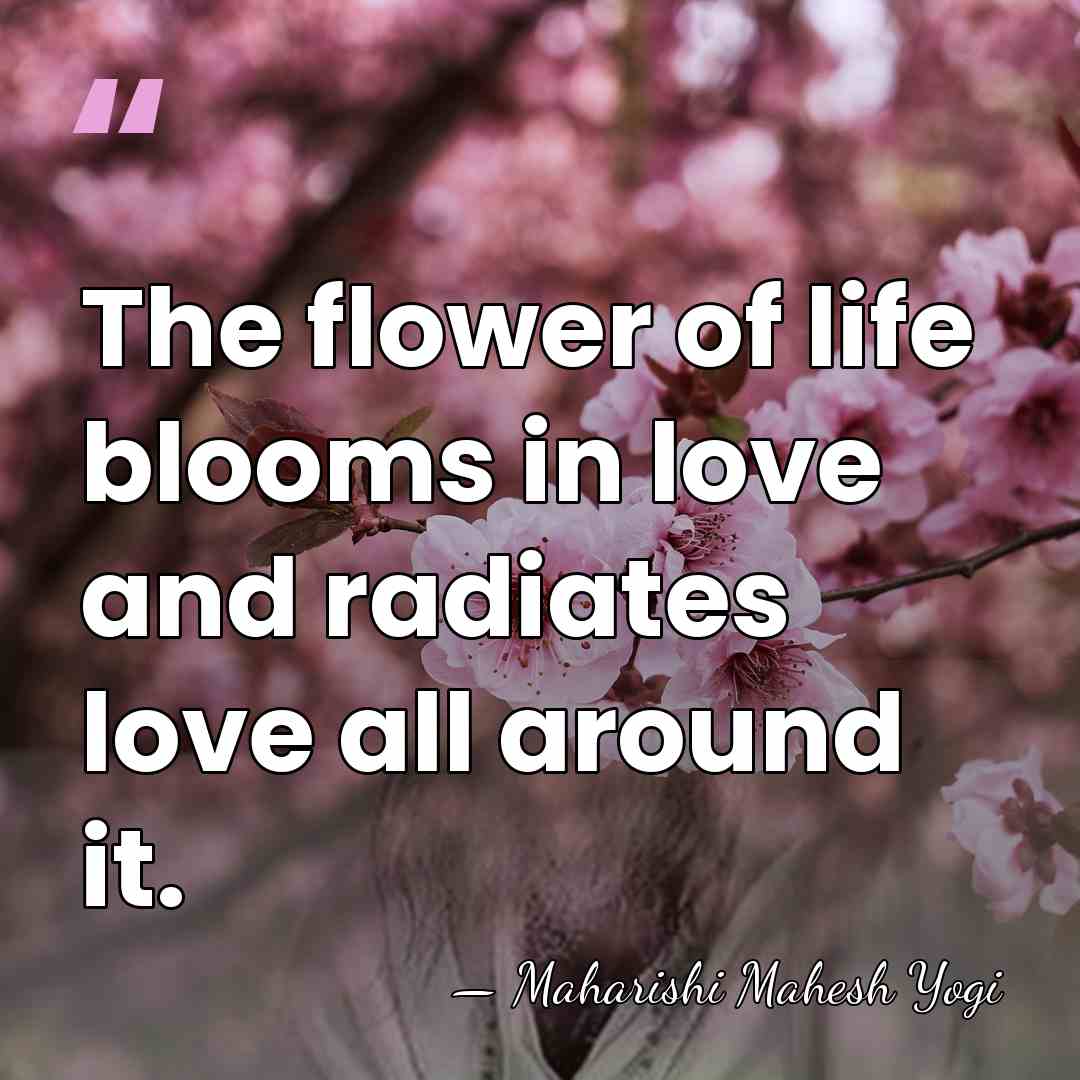 The flower of life blooms in love and radiates love all around&hellip; - Maharishi Mahesh Yogi