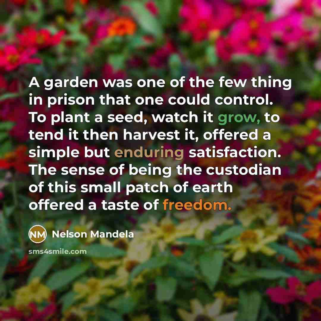 “A garden was one of the few thing in prison…” quote by Nelson Mandela