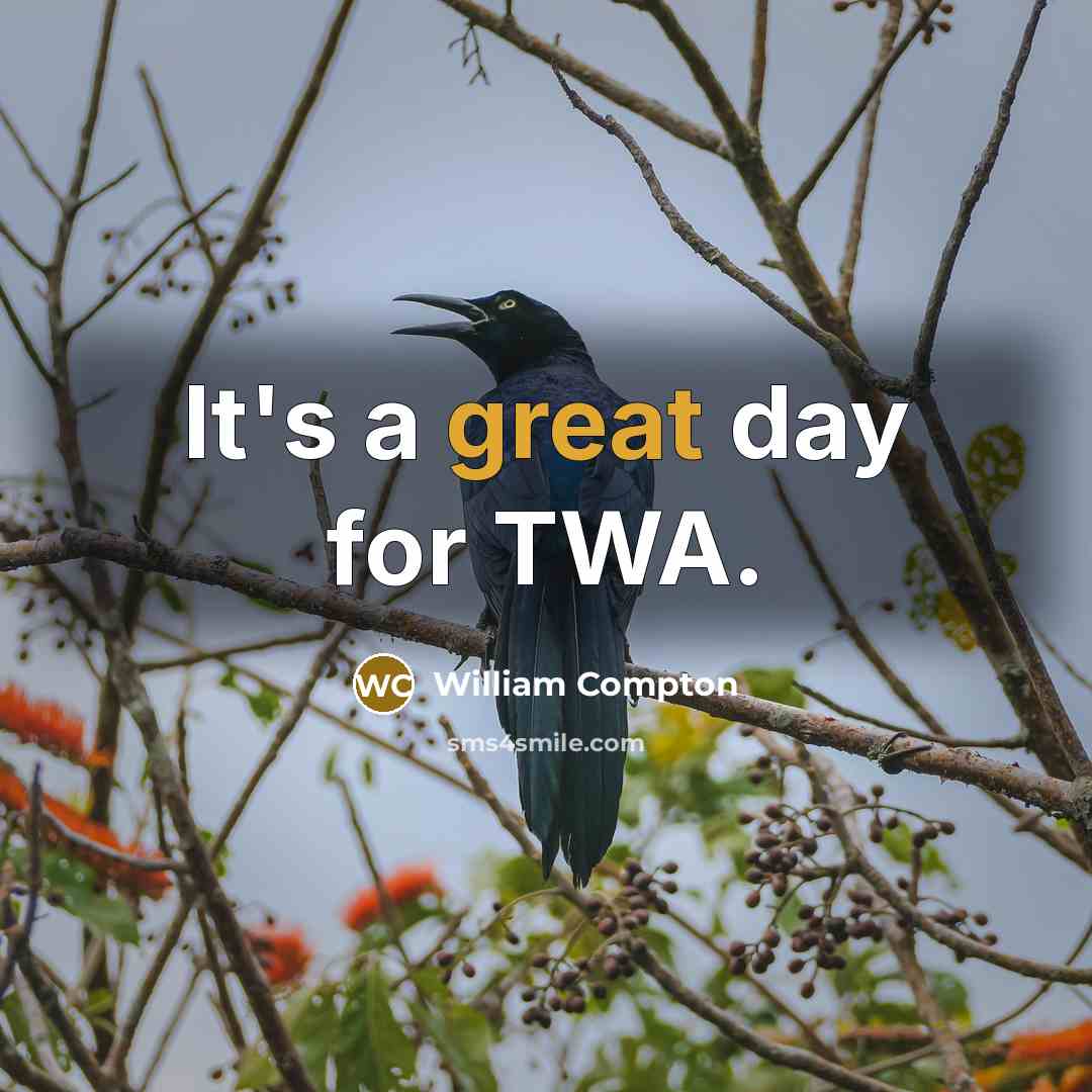 “It's a great day for TWA.” quote by William Compton