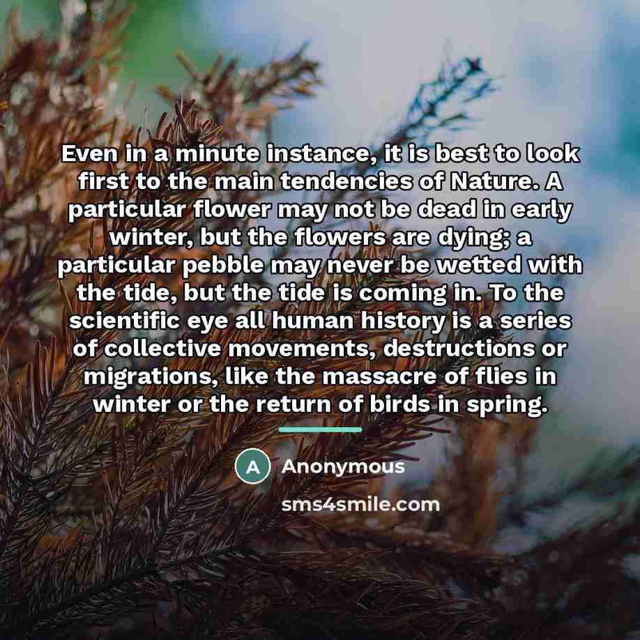 “Even in a minute instance, it is best to look…” quote by Anonymous
