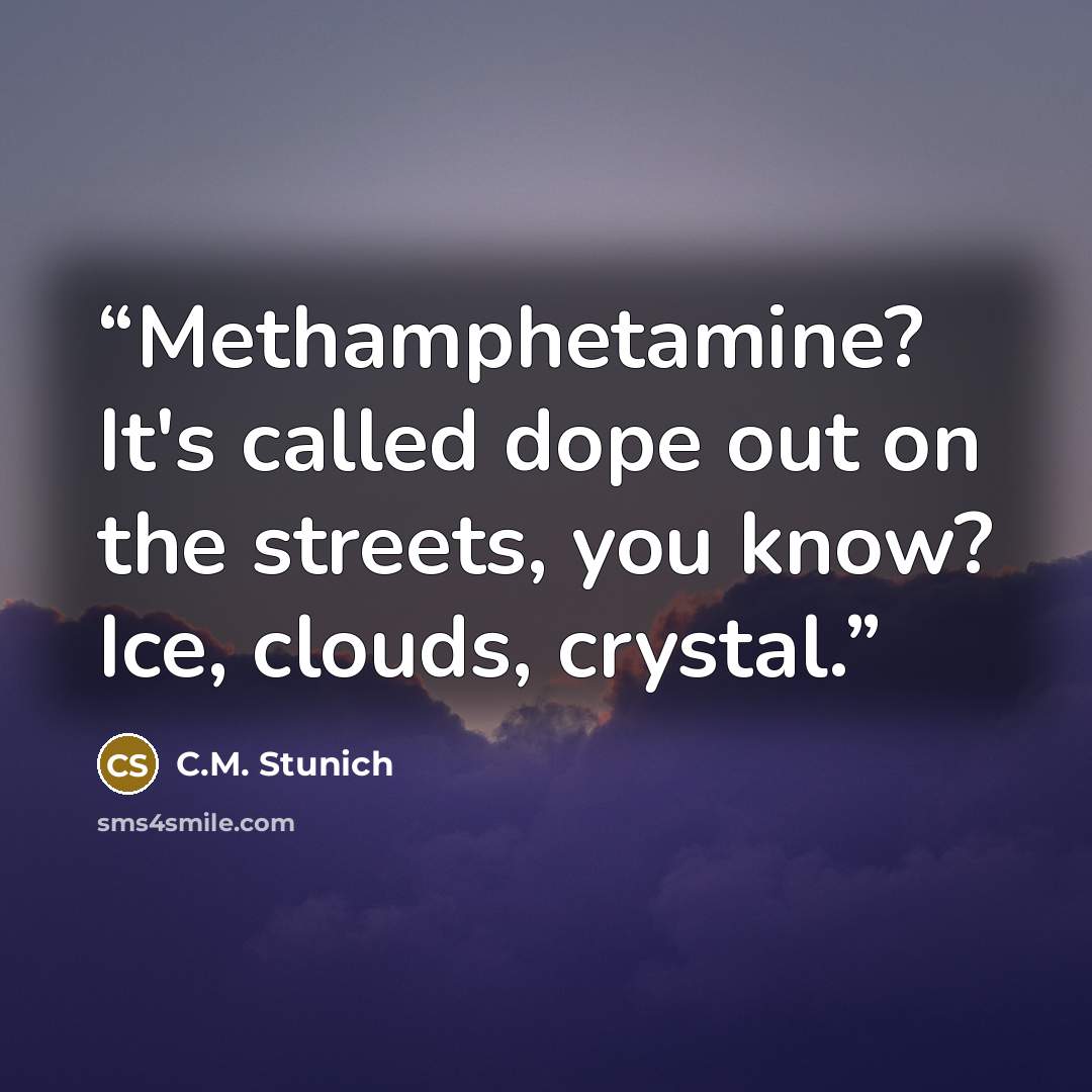 “Methamphetamine? It's called dope out on the streets, you know? Ice, clouds, crystal.” quote by C.M. Stunich