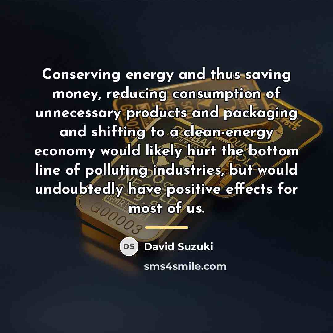 “Conserving energy and thus saving money, reducing consumption of unnecessary…” quote by David Suzuki