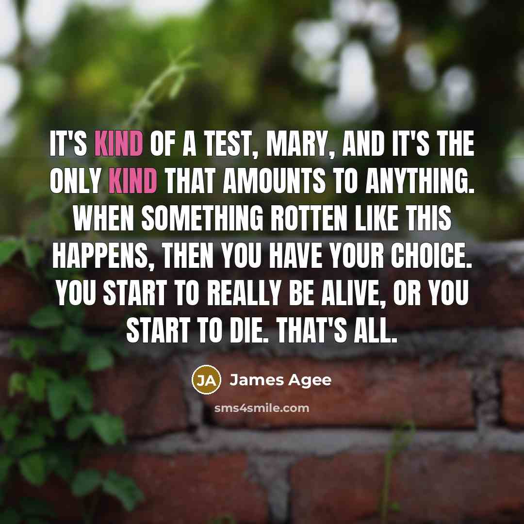 “It's kind of a test, Mary, and it's the only…” quote by James Agee