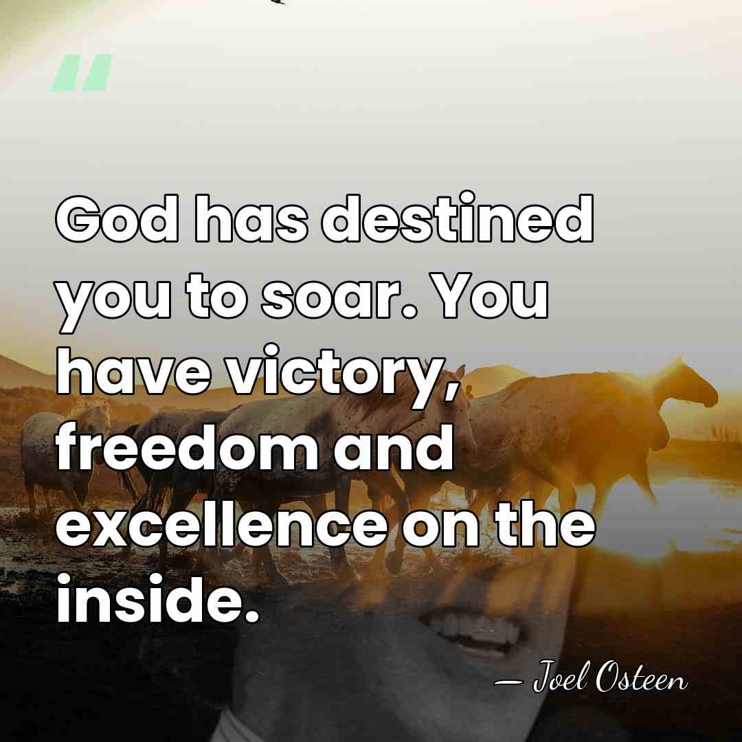 God has destined you to soar. You have victory, freedom and excellence&hellip; - Joel Osteen