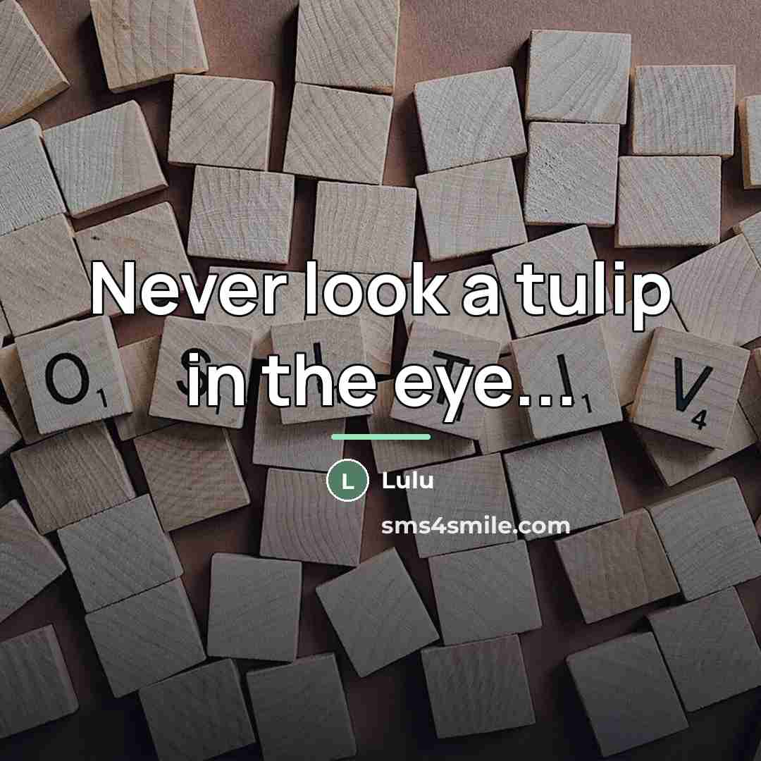 “Never look a tulip in the eye...…” quote by Lulu