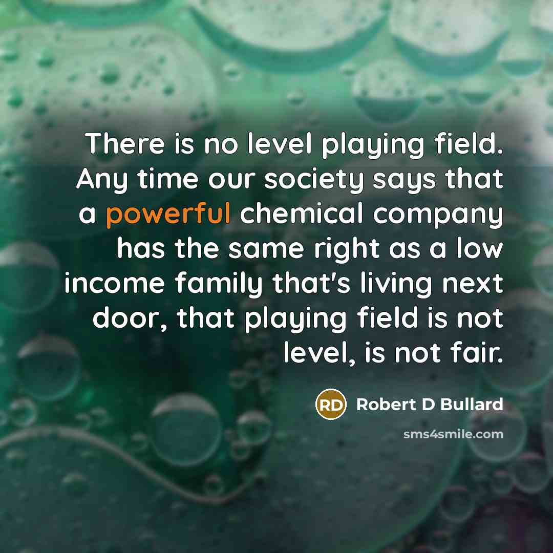 “There is no level playing field. Any time our society…” quote by Robert D Bullard