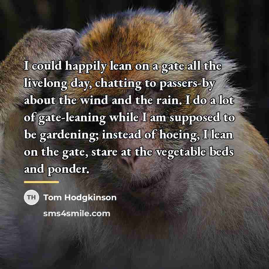 “I could happily lean on a gate all the livelong…” quote by Tom Hodgkinson
