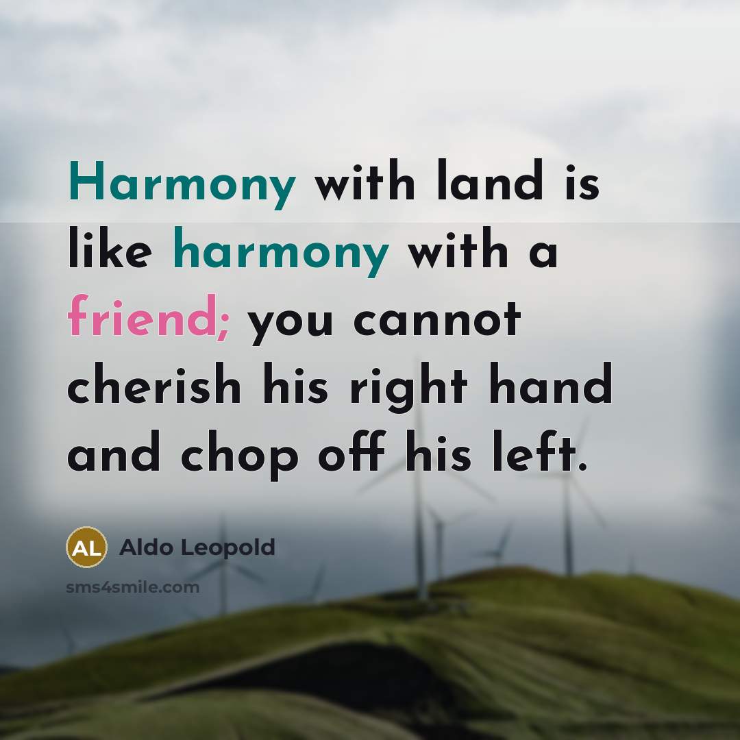 “Harmony with land is like harmony with a friend; you…” quote by Aldo Leopold