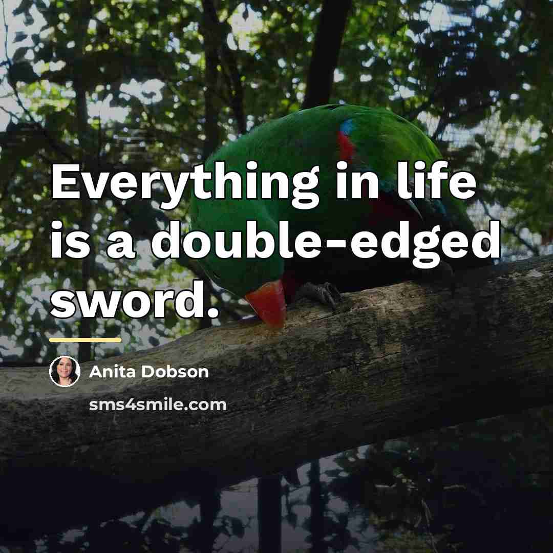 “Everything in life is a double-edged sword.…” quote by Anita Dobson