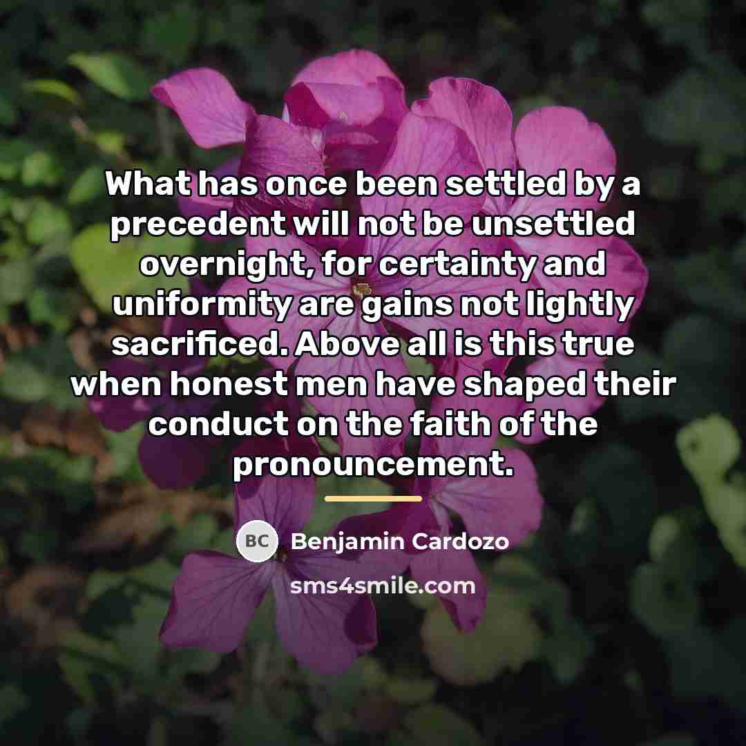 “What has once been settled by a precedent will not…” quote by Benjamin Cardozo