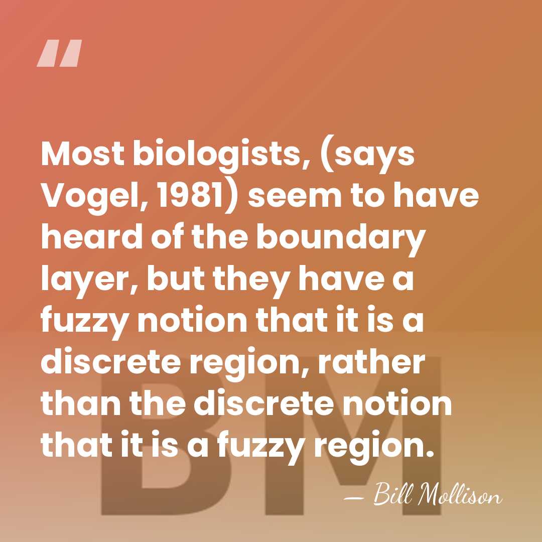 Most biologists, (says Vogel, 1981) seem to have heard of the boundary&hellip; - Bill Mollison