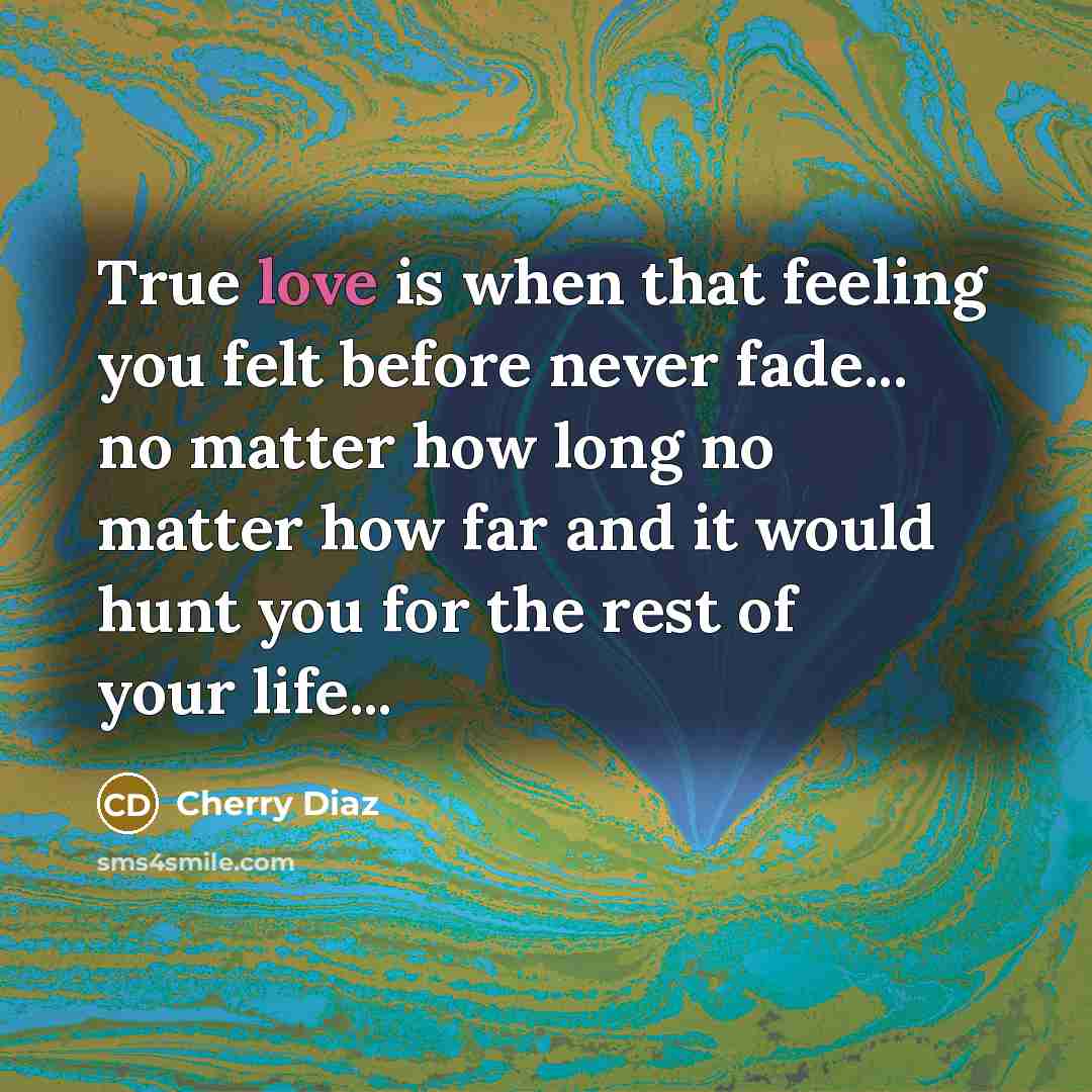 “True love is when that feeling you felt before never…” quote by Cherry Diaz