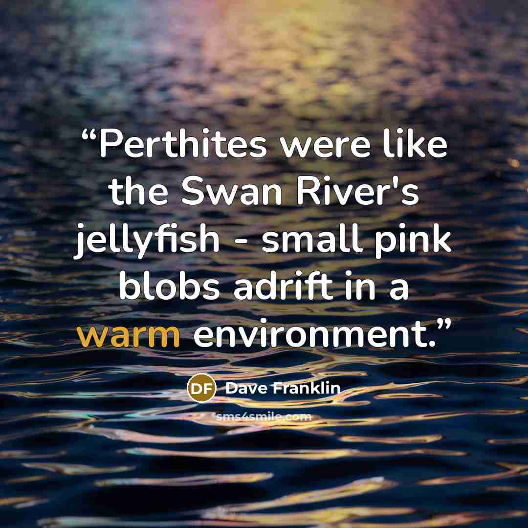 “Perthites were like the Swan River's jellyfish - small pink blobs adrift in a warm environment.” quote by Dave Franklin