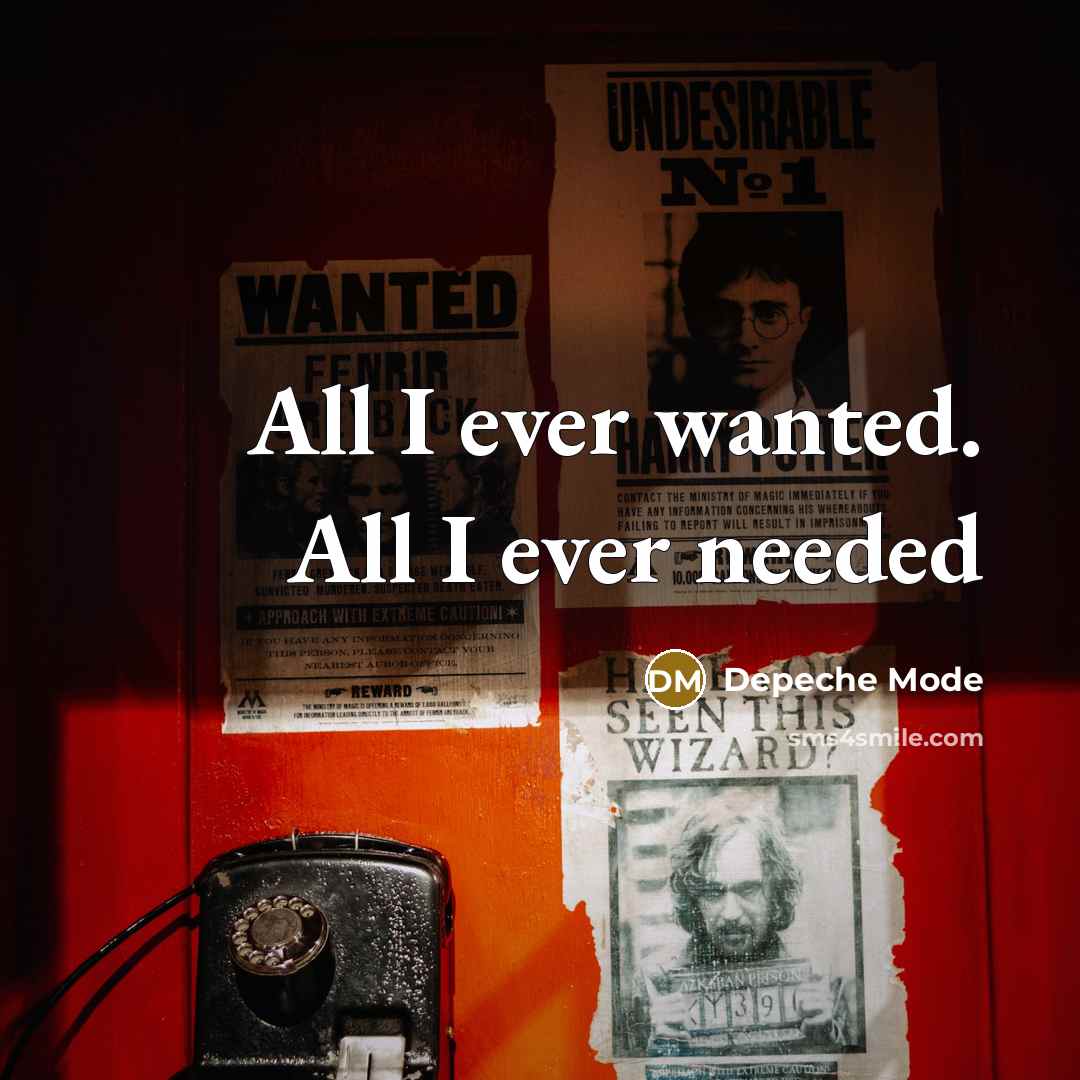 “All I ever wanted. All I ever needed…” quote by Depeche Mode
