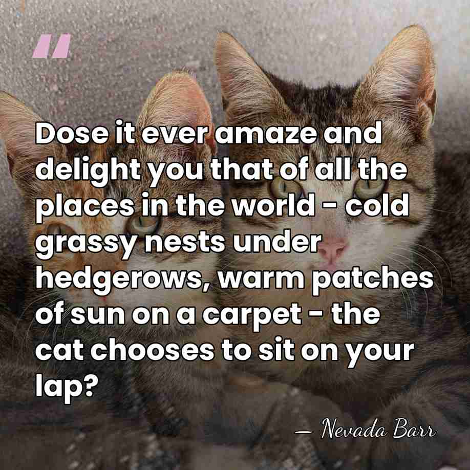 Dose it ever amaze and delight you that of all the places&hellip; - Nevada Barr