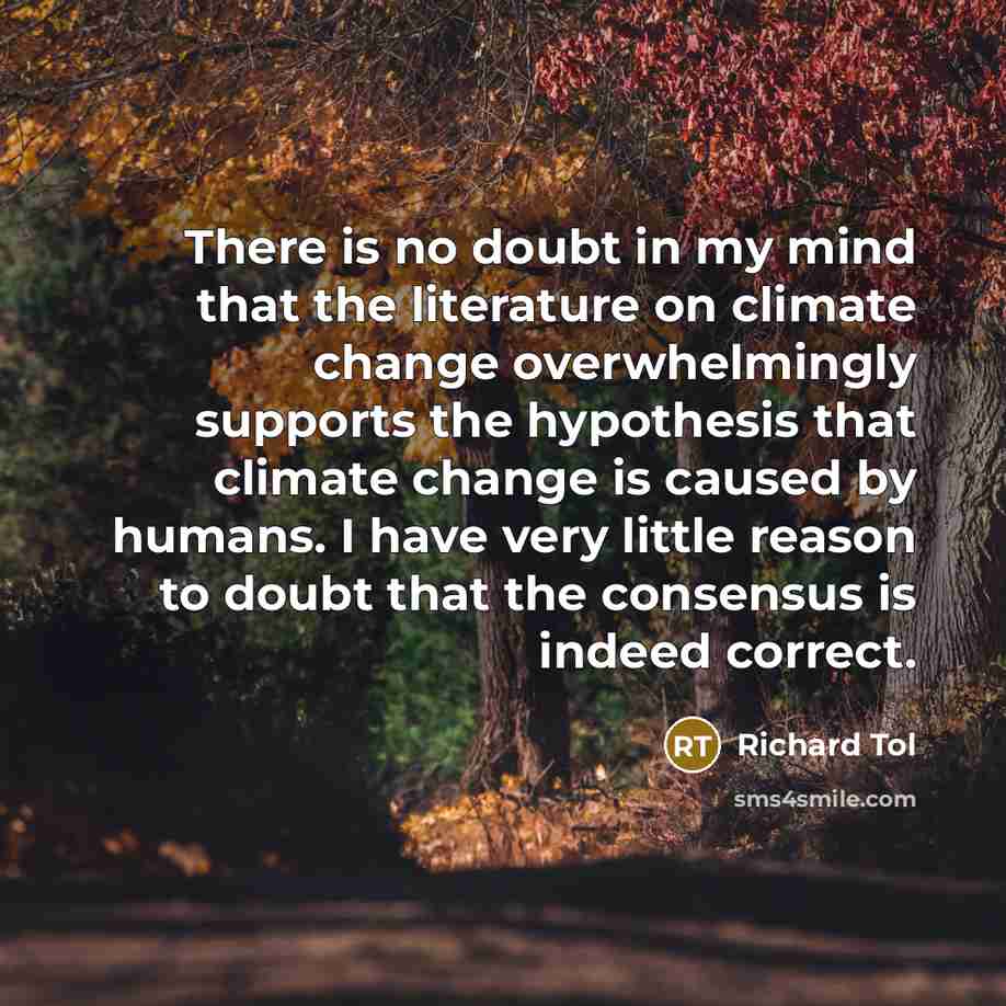 “There is no doubt in my mind that the literature…” quote by Richard Tol