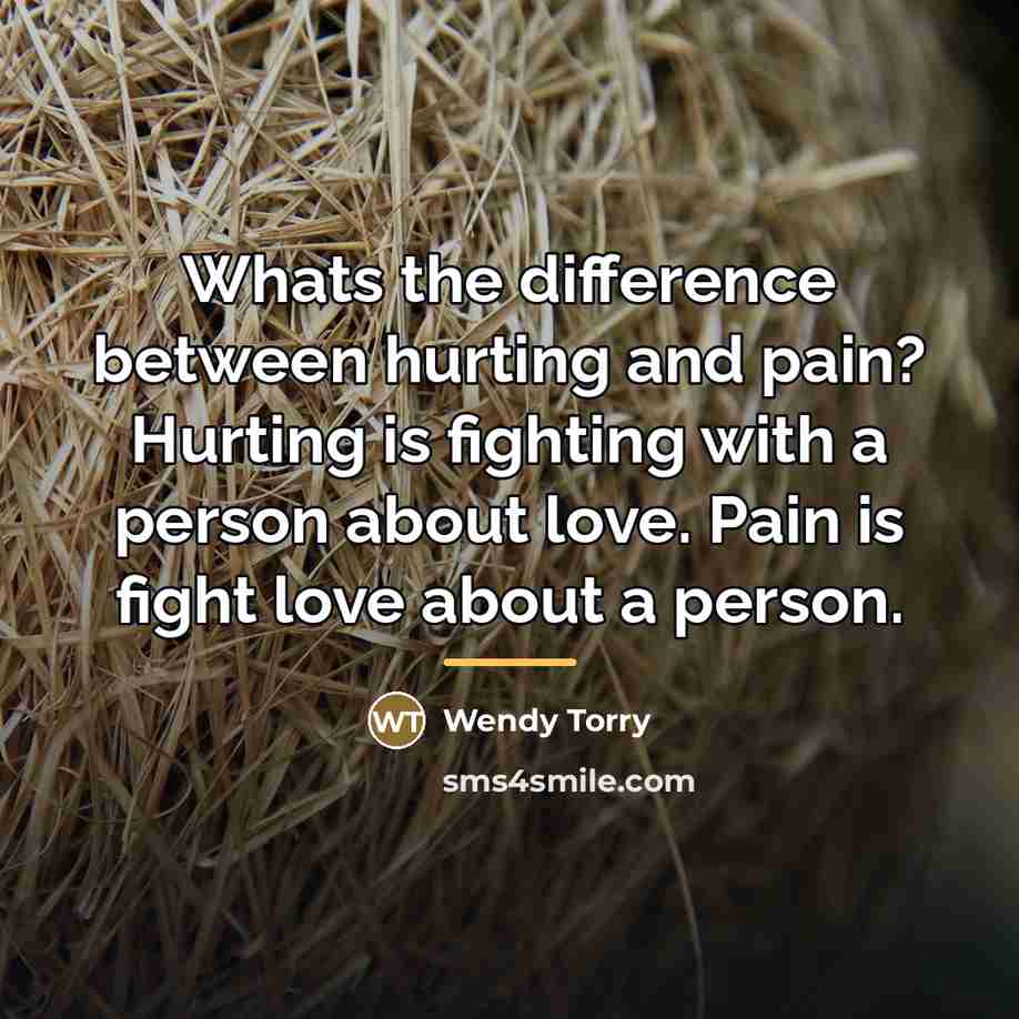 “Whats the difference between hurting and pain? Hurting is fighting…” quote by Wendy Torry
