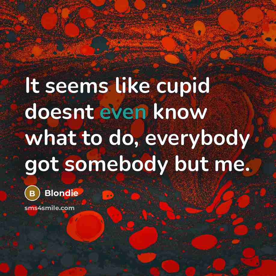 “It seems like cupid doesnt even know what to do, everybody got somebody but me.” quote by Blondie