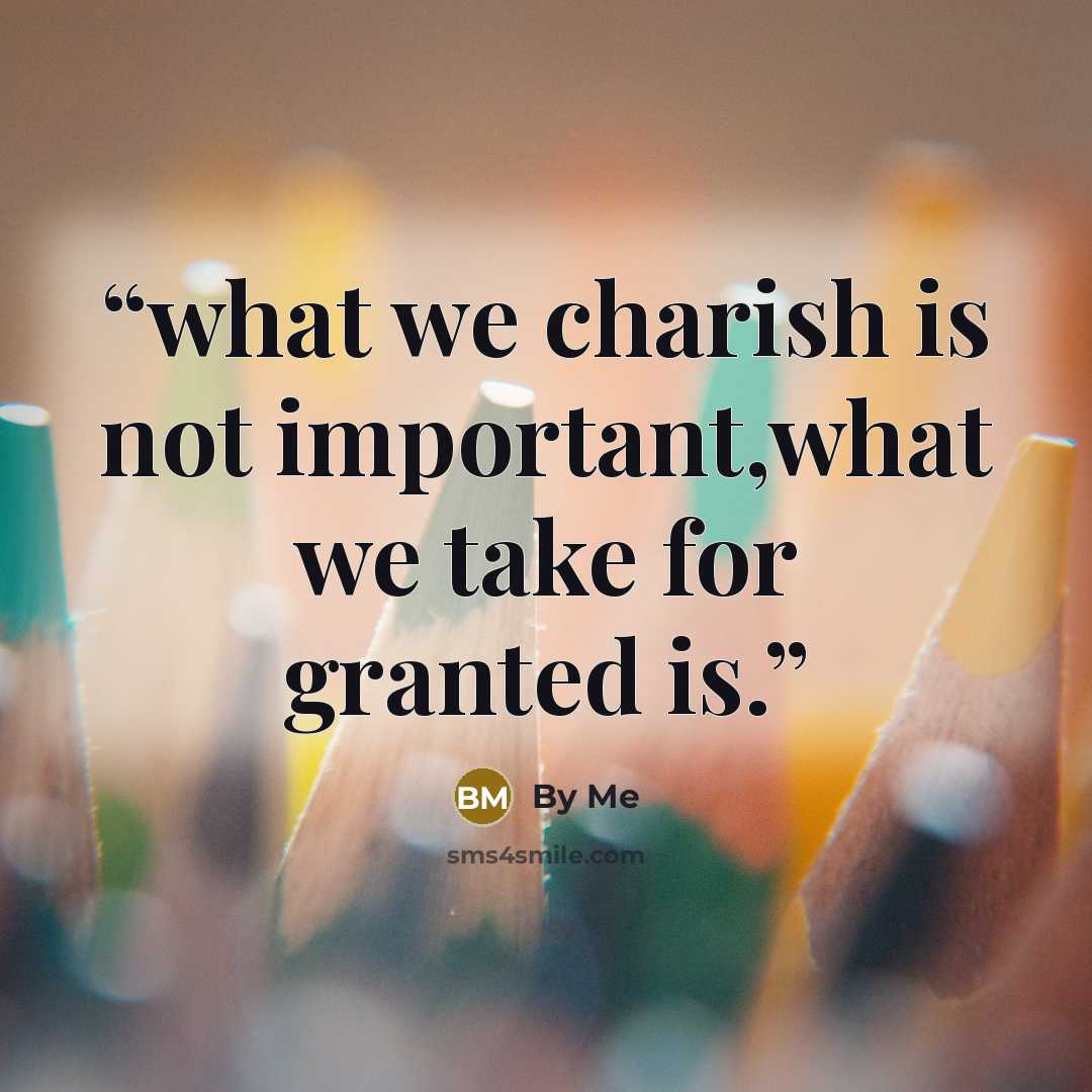 “what we charish is not important,what we take for granted is.” quote by by me
