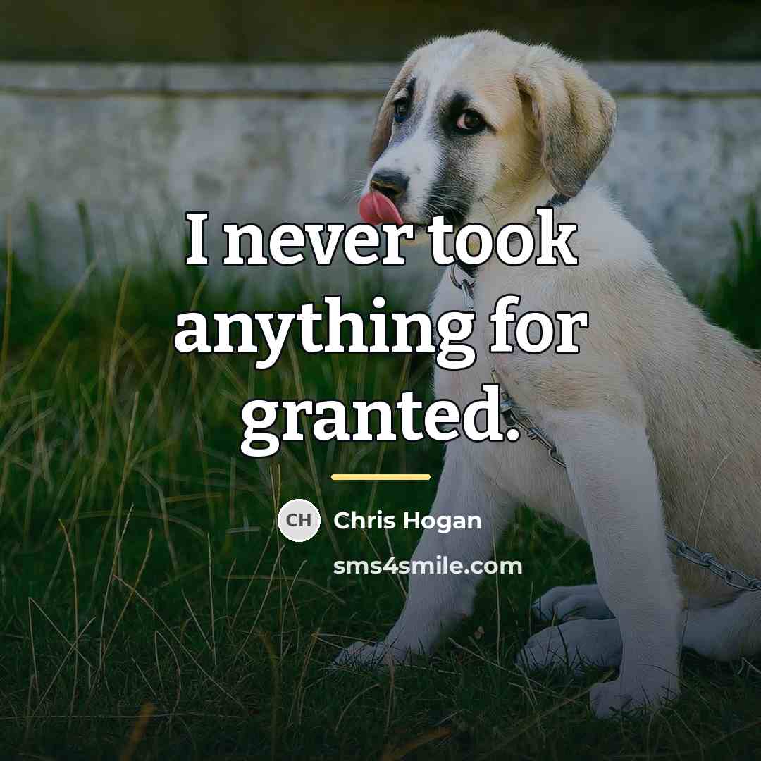 “I never took anything for granted.…” quote by Chris Hogan