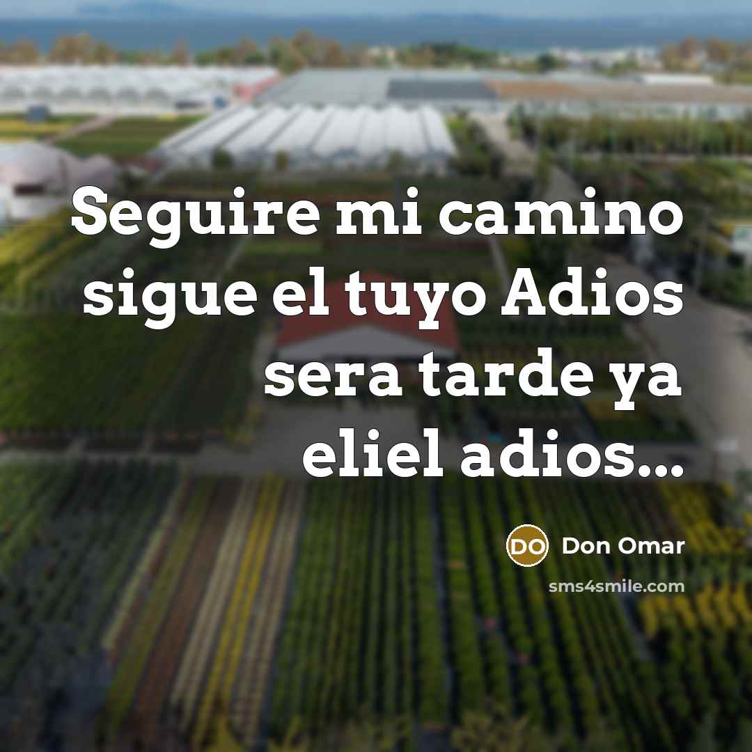 “Seguire mi camino sigue el tuyo Adios sera tarde ya…” quote by Don Omar