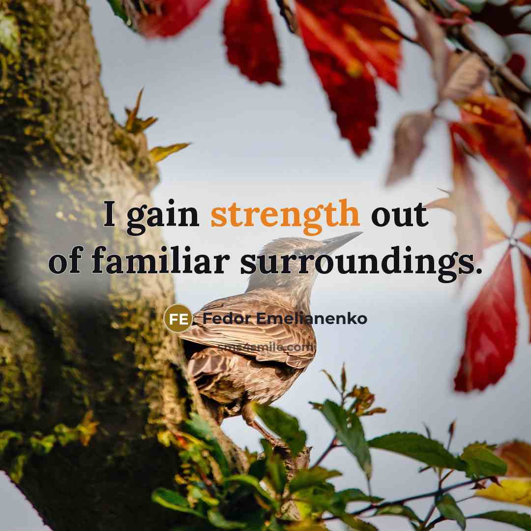 “I gain strength out of familiar surroundings.…” quote by Fedor Emelianenko