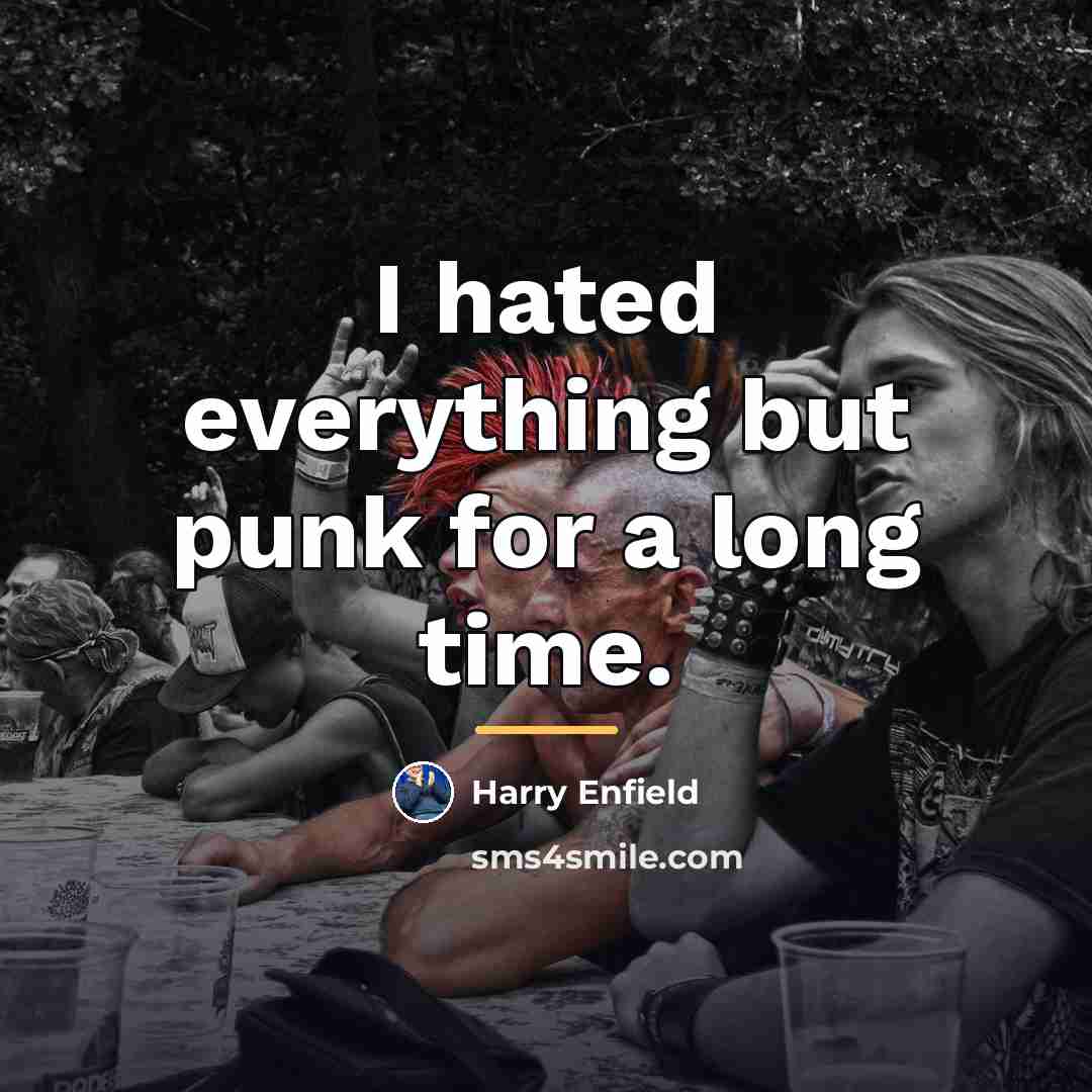 “I hated everything but punk for a long time.…” quote by Harry Enfield