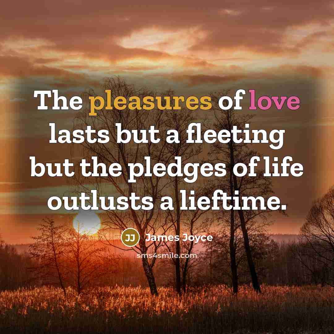 “The pleasures of love lasts but a fleeting but the…” quote by James Joyce